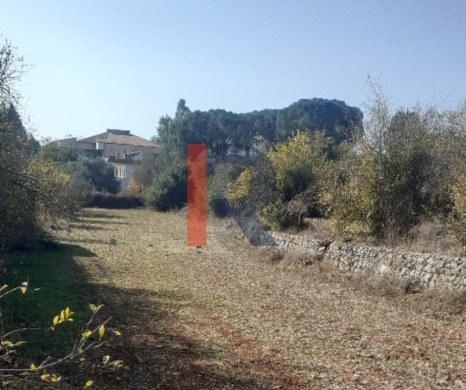 R9-3892 Three Lands with Old Houses for Sale in Jebrayel – Akkar, 7,050 m² — 10