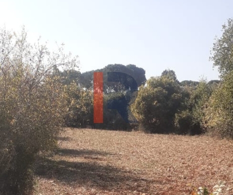 R9-3892 Three Lands with Old Houses for Sale in Jebrayel – Akkar, 7,050 m² — 6