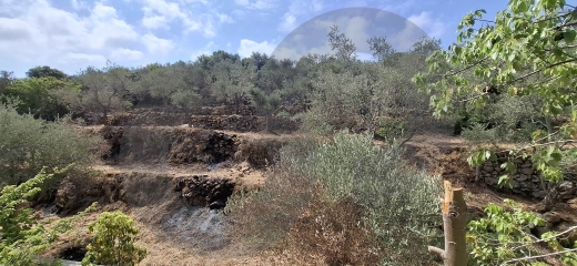 Mini Villa for Sale in Baasir - Chouf / بعاصير - الشوف ! REF#DI124007 — 2
