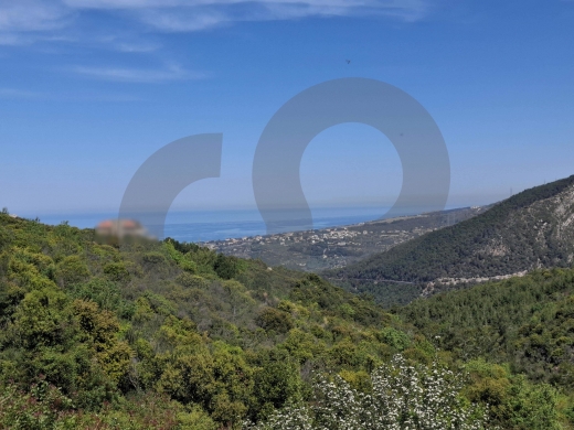 300 SQM in Dibbiyeh on 1,950 SQM Land with Pool / الدبية REF#DI123428 — 13