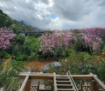 Mountain view , Calm and upscale area in rabieh/الرابية REF#OU120282 — 5