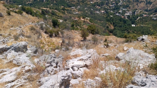 prime land- mountain view -Kartaba - Jbeil /قرطبا - جبيل REF#RS119767 — 4