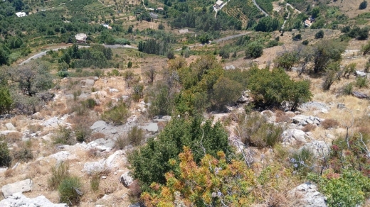 prime land- mountain view -Kartaba - Jbeil /قرطبا - جبيل REF#RS119767 — 5