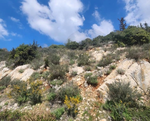 Surrounded by nature and fresh air in kfour/الكفور REF#YE118939 — 2