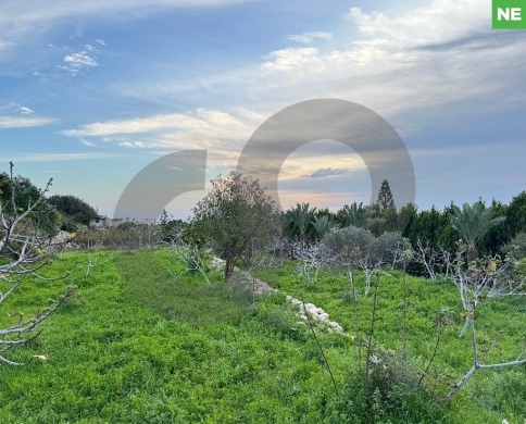 Panoramic view, clam area,Jbeil, berbara/ البربارة