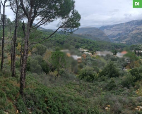 1360 SQM Land for Sale in Bkassine - Jezzine / بكاسين - جزين REF#DI110410