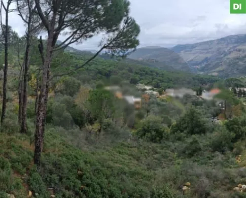 1360 SQM Land for Sale in Bkassine - Jezzine / بكاسين - جزين REF#DI110410