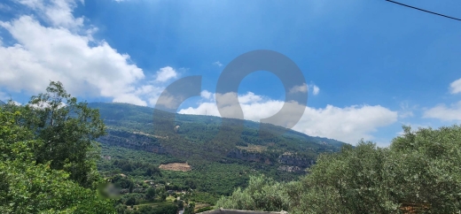 Beautiful Land 100 Olive trees in ADONIS JBEIL/ادونيس جبيلREF#BT109999 — 3