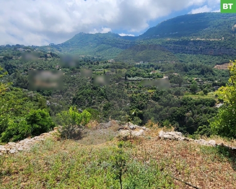 Beautiful Land 100 Olive trees in ADONIS JBEIL/ادونيس جبيلREF#BT109999