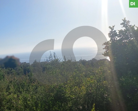 1950SQM Land for Sale in Dahr El Mghara-Chouf /ضهر المغارة