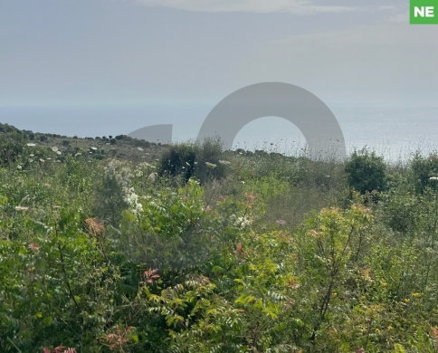 13,786sqm land FOR SALE in berbara/بربارة REF#NE106863