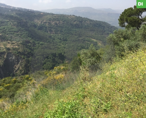 Land for Sale in Aaray - Jezzine/عاراي - جزين