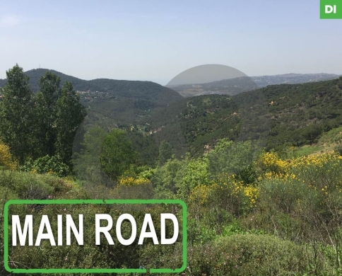 2184 SQM Land in Jezzine - Homsiyeh/الحمصية - جزين