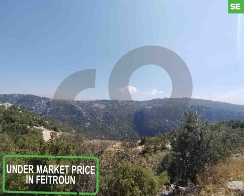 Land for sale in Feitroun