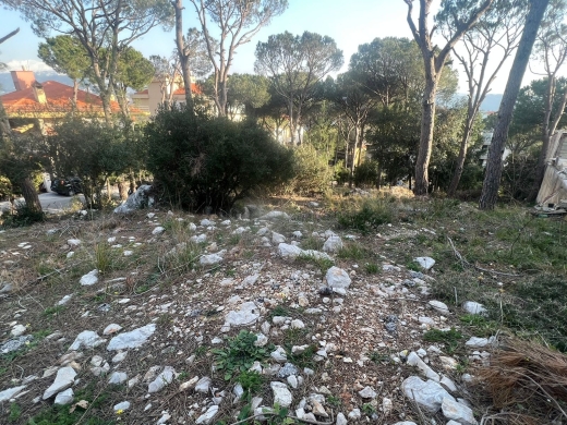 One of the unique lands in Broumana Oyoun! — 4