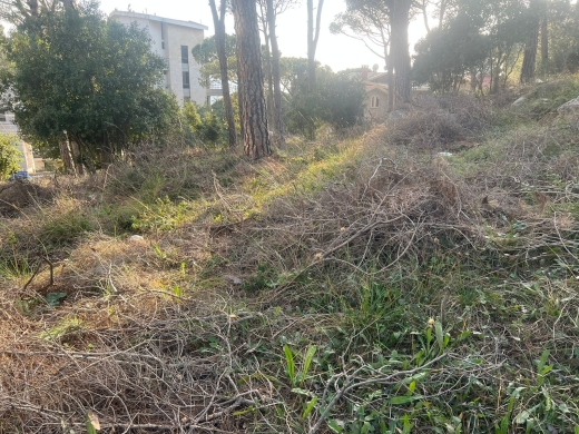 One of the unique lands in Broumana Oyoun! — 3