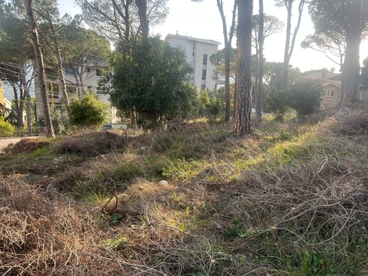 One of the unique lands in Broumana Oyoun! — 2