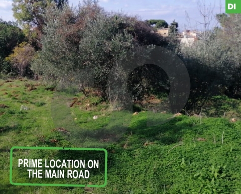 4008 sqm LAND FOR SALE IN DIBBIEH