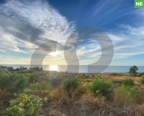 Located in a calm area in Berbara