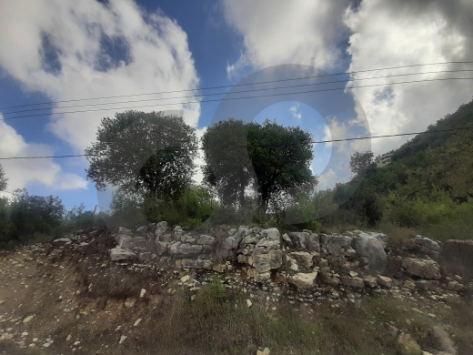 1030 sqm land is now for sale in Zebdine-Jbeil/زبدين — 4