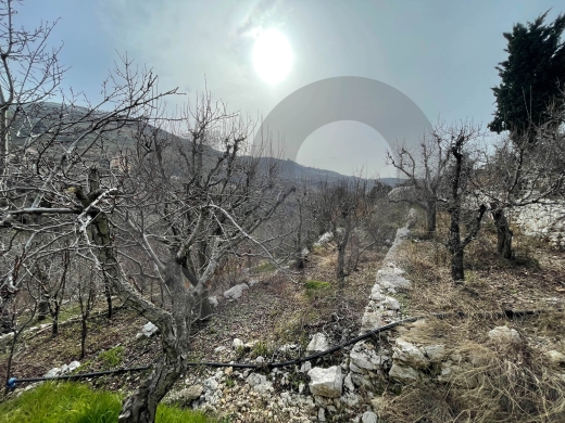5000 Land for sale FARAYA — 3