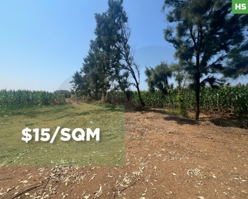 AGRICULTURAL LAND FOR SALE/PRIME INVESTMENT OPPORTUNITY/Akkar/El arida-العريضة/REF#HS139921