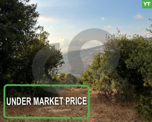 under market price -Great deal- Chira koura - REF#YT127671