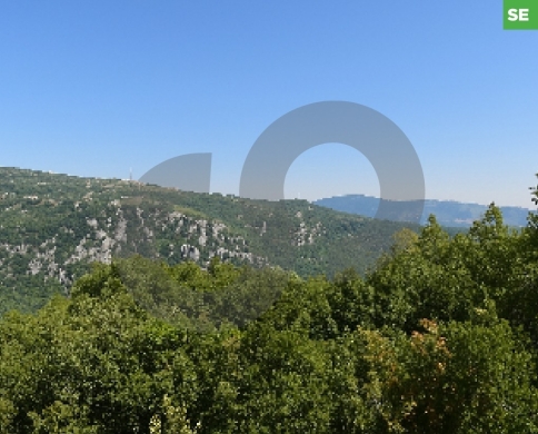 Beautiful land in kleiaat/قليعات REF#SE01646