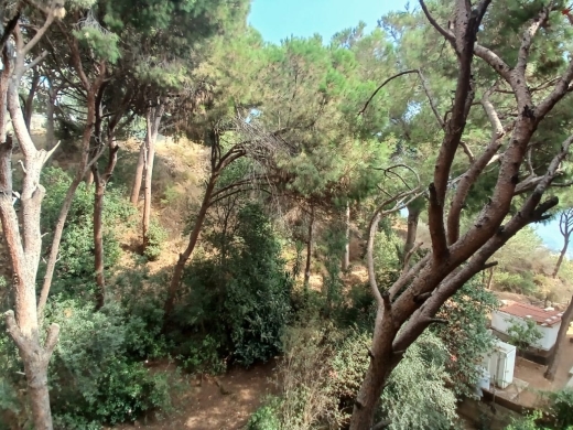 Building With Panoramic View For Sale in Ain Saadeh — 13