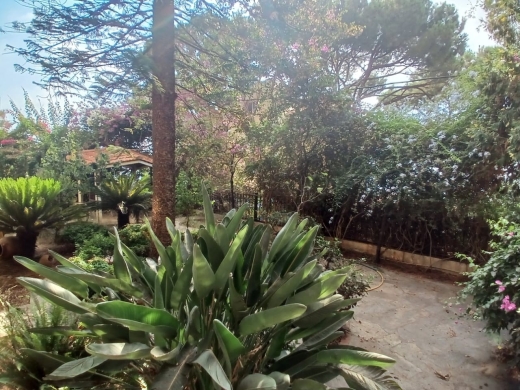 Building With Panoramic View For Sale in Ain Saadeh — 12