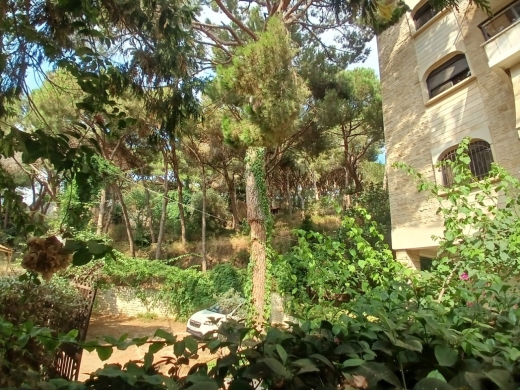 Building With Panoramic View For Sale in Ain Saadeh — 11