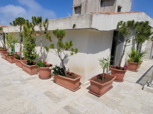 Roof Apartment With Terrace For Sale in Ajaltoun — 4
