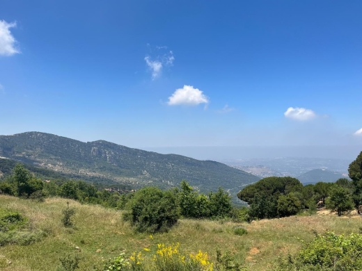 1,800 SQM Land For Sale in Bcharre