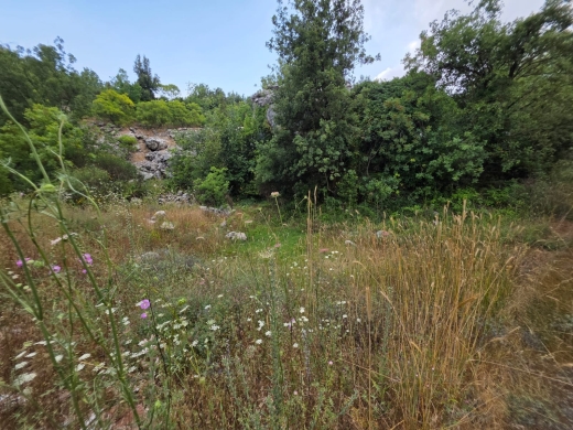940 SQM Land For Sale In Faytroun