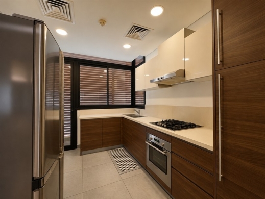 High-End 2-Bedroom Apartment For Rent in Down Town — 3