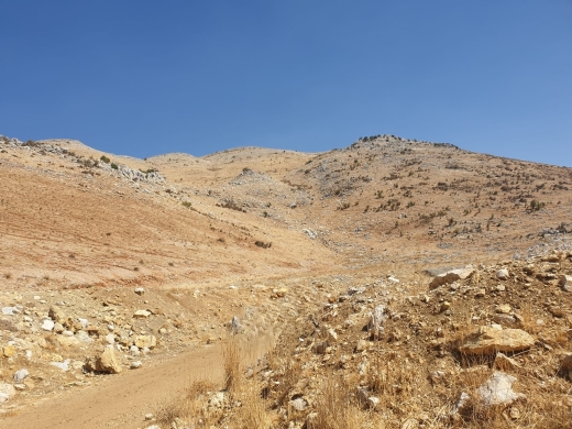 235,339 SQM Land With Mountain View For Sale in Falougha — 4
