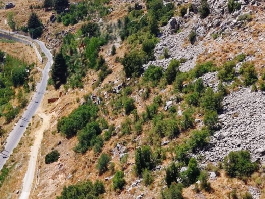 1,242 SQM Land For Sale in Akoura, Jbeil