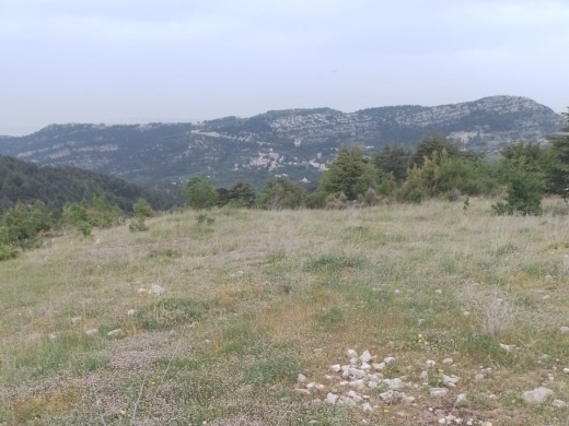 5,400 SQM Land with Mountain View For Sale in Bcharre