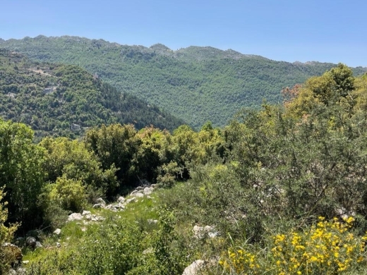 Land With Mountain View For Sale in Chahtoul — 2