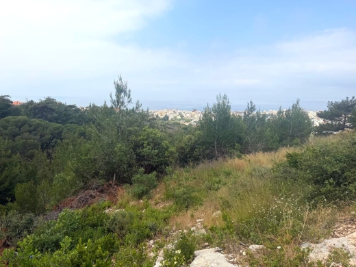 1,549 SQM Land With Sea View For Sale in Batroun, Rawabi