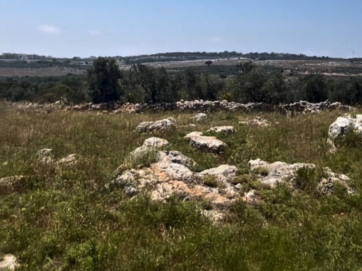 1,910 SQM Land with Mountain View in Calm Area For Sale in Koura