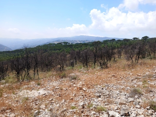 4,500 SQM Land With Mountain View For Sale in Mtein — 4