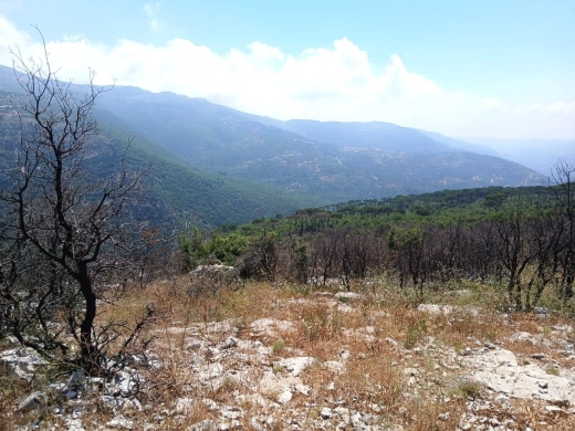 4,500 SQM Land With Mountain View For Sale in Mtein