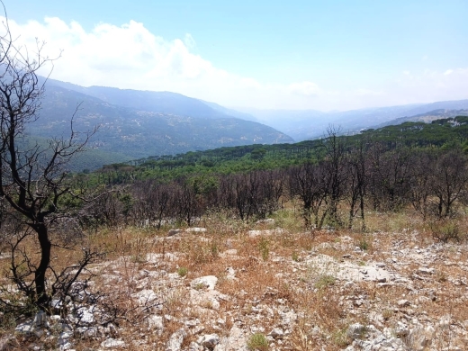 6,500 SQM Land With Mountain View For Sale in Mtein