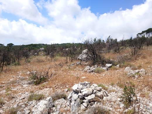 6,500 SQM Land With Mountain View For Sale in Mtein — 2