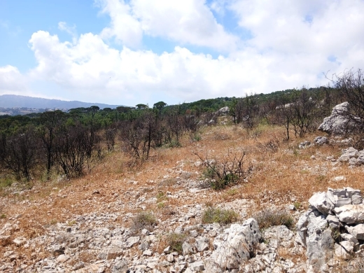 6,500 SQM Land With Mountain View For Sale in Mtein — 5