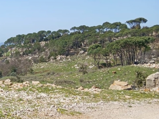 Land 3,200 SQM For Sale in Mtein — 4