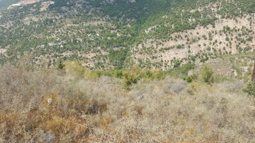 2,335 SQM Land with Mountain View For Sale in Kharbe, Jbeil District — 2