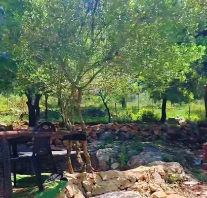 1,000 SQM Land with Bungalow For Sale in Zebdine, Jbeil District