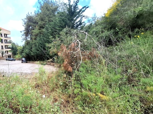 1680 SQM Land With a Nice View For Sale In Qannabet Broumana
